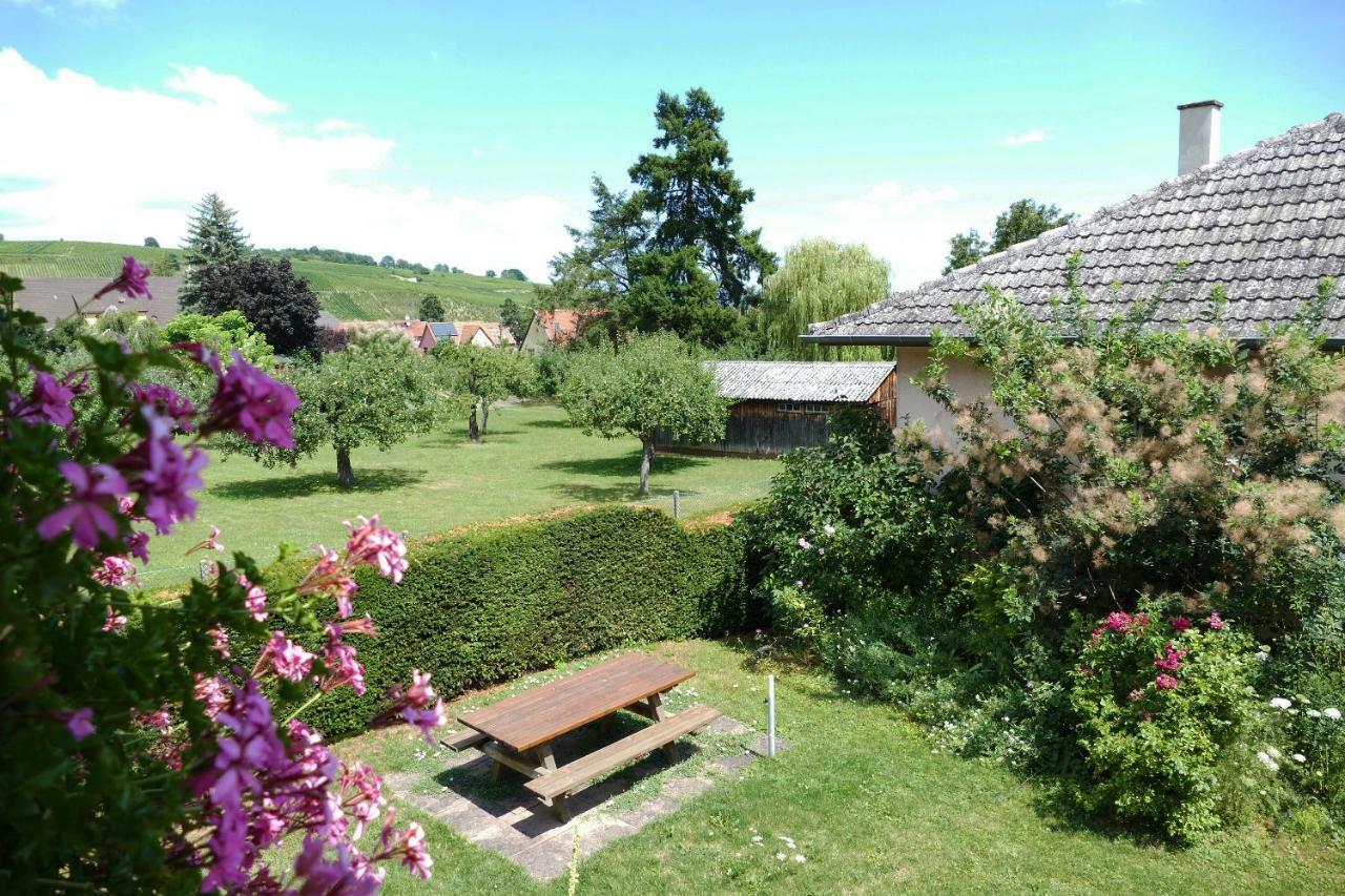 Gite L'Agape Riquewihr Luaran gambar